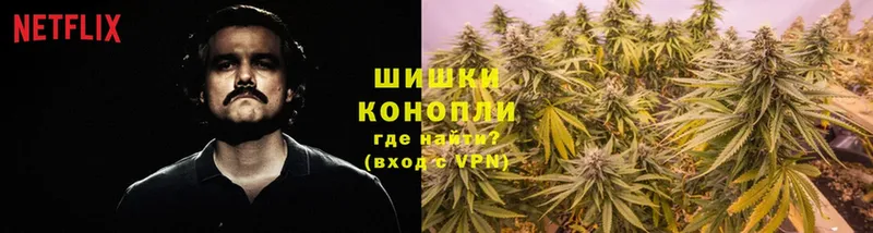 Бошки марихуана OG Kush  цена   Заводоуковск 